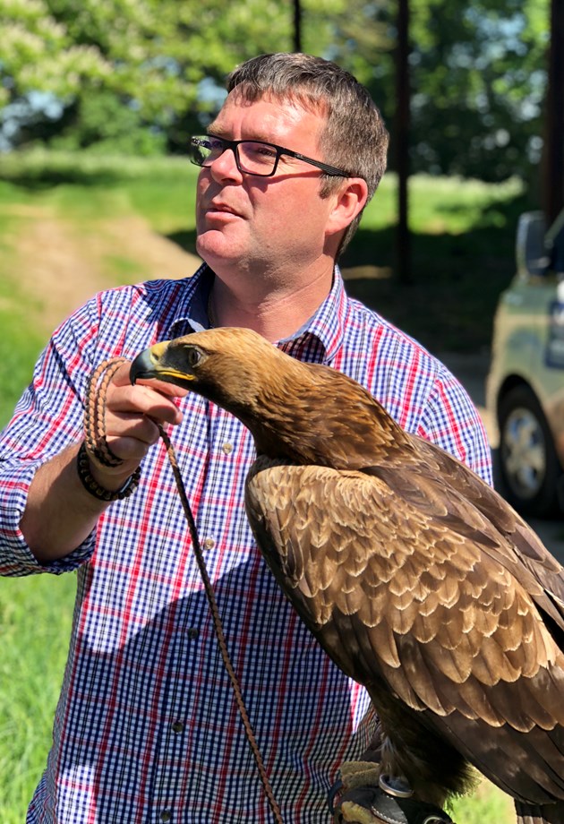 Delight in an incredible Hawk tour while staying in Bath.